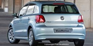 Back of Polo