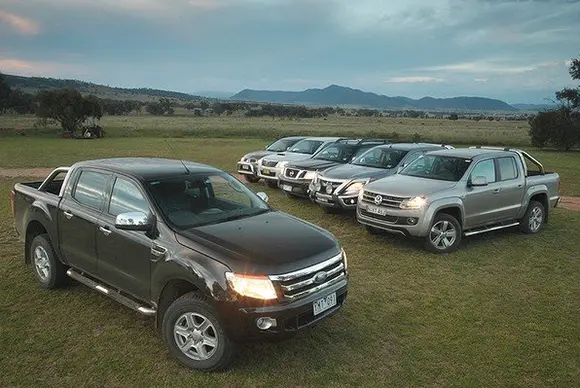 Bakkies in a field