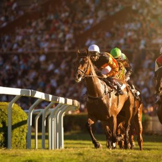 Start Your Durban July Journey Here - Car rental for all your trips