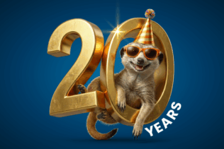 20th Birthday Surprise