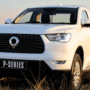 Bakkie image in the bushes to augment the article about Bakkie rental in South Africa